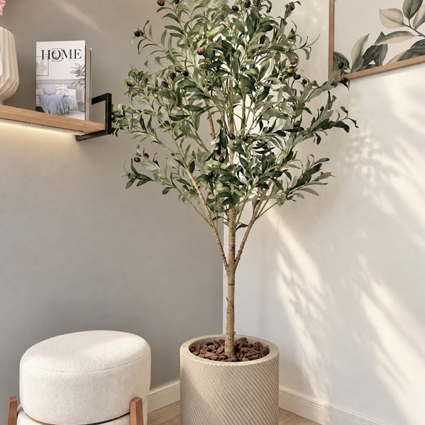 Planta com vaso